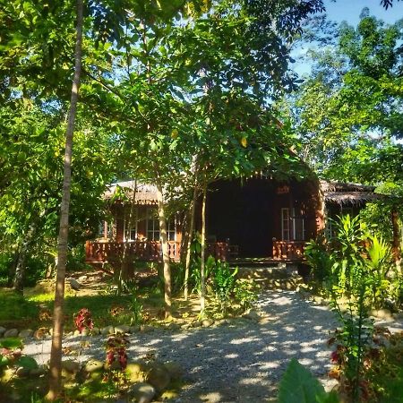 Etalauser Jungle Gate Ecoresort Bukit Lawang Bagian luar foto