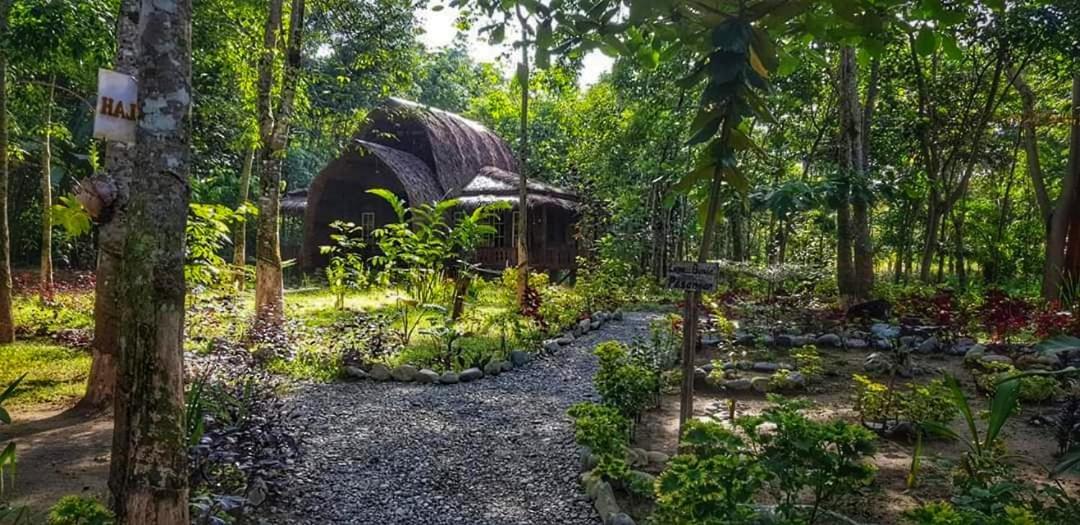 Etalauser Jungle Gate Ecoresort Bukit Lawang Bagian luar foto