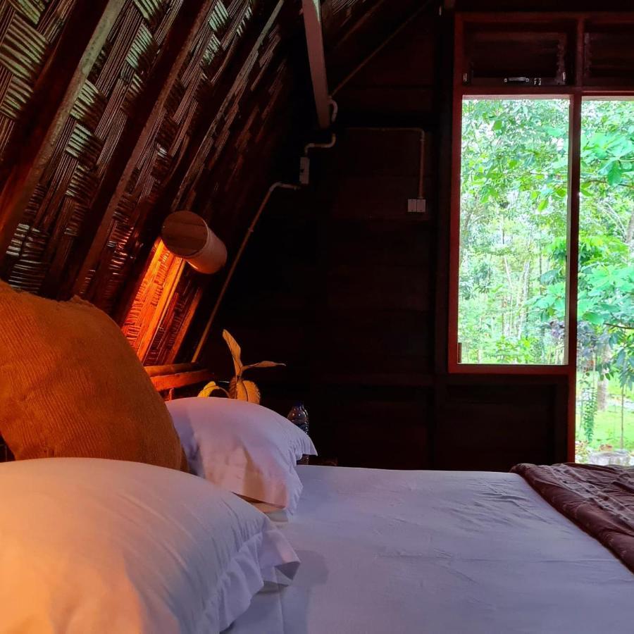 Etalauser Jungle Gate Ecoresort Bukit Lawang Bagian luar foto