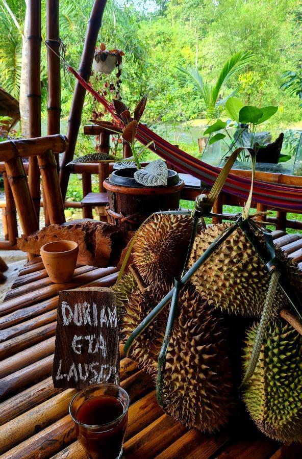 Etalauser Jungle Gate Ecoresort Bukit Lawang Bagian luar foto
