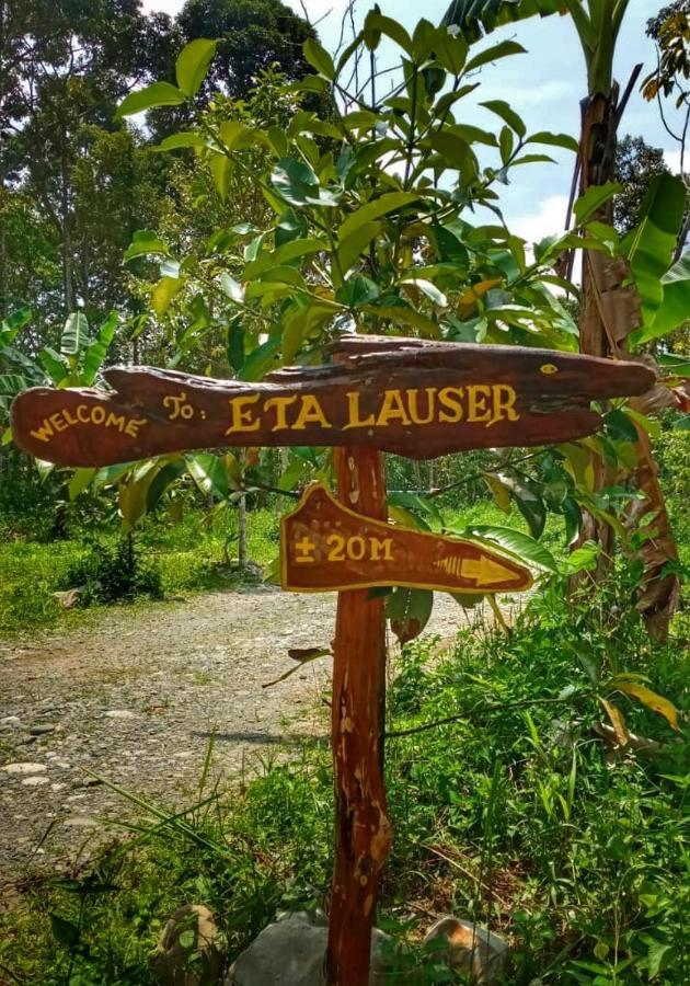 Etalauser Jungle Gate Ecoresort Bukit Lawang Bagian luar foto