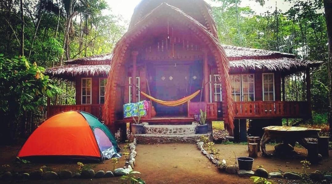 Etalauser Jungle Gate Ecoresort Bukit Lawang Bagian luar foto