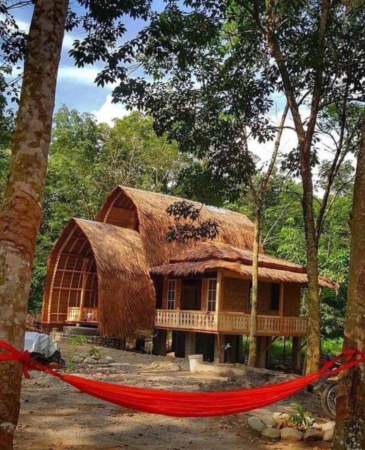 Etalauser Jungle Gate Ecoresort Bukit Lawang Bagian luar foto