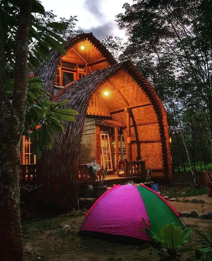 Etalauser Jungle Gate Ecoresort Bukit Lawang Bagian luar foto