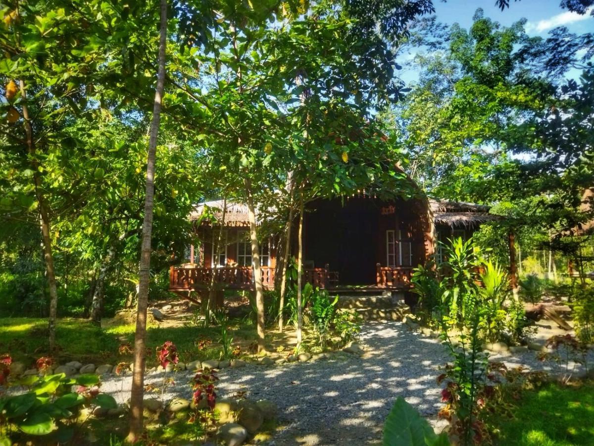 Etalauser Jungle Gate Ecoresort Bukit Lawang Bagian luar foto