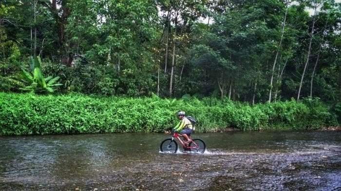 Etalauser Jungle Gate Ecoresort Bukit Lawang Bagian luar foto